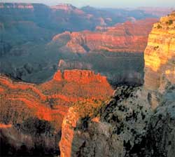 ArizonaEyalet niversitesi Canyon